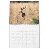 South African Safari Calendar Kalender (Mar 2026)