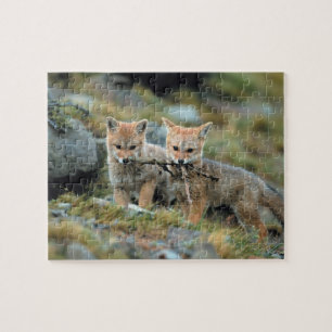 South America, Chile, Torres del Paine National Legpuzzel