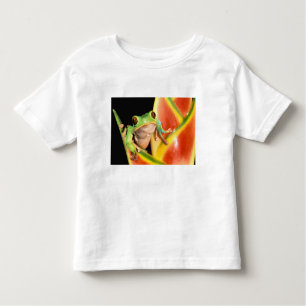 South America, Ecuador, Amazon. Tree frog Kinder Shirts