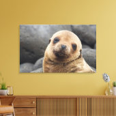 South America, Ecuador, Galapagos Islands Canvas Afdruk (Insitu (Woonkamer))