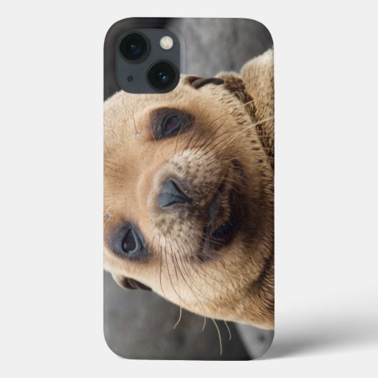 South America, Ecuador, Galapagos Islands Case-Mate iPhone Case (Achterkant)