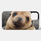 South America, Ecuador, Galapagos Islands Case-Mate iPhone Case (Achterkant (horizontaal))