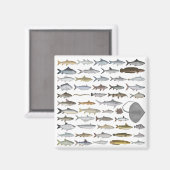 South Asia Freshwater Fish Group Magneet (Voorkant / Achterkant)