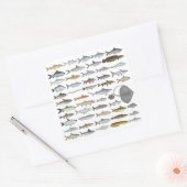 South Asia Freshwater Fish Group Vierkante Sticker (Envelop)