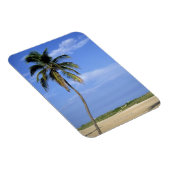 South Beach, Miami Beach, Florida, VS Magneet (Rechterzijde)