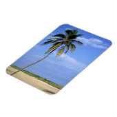 South Beach, Miami Beach, Florida, VS Magneet (Linkerzijde)