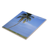 South Beach, Miami Beach, Florida, VS Tegeltje (Zijkant)