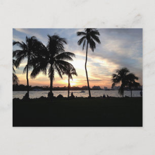 South Beach, Miami Palm Trees op Sunset Briefkaart