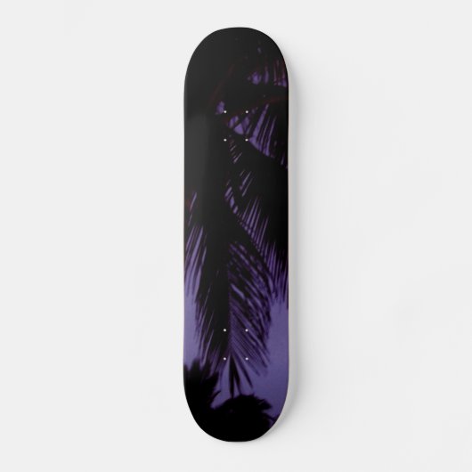 South Beach Miami Skateboard (Voorkant)