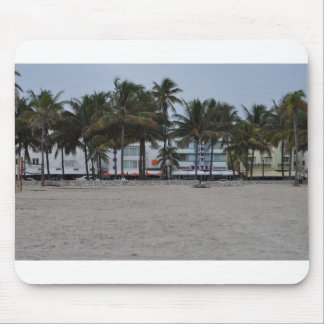 South Beach Muismat