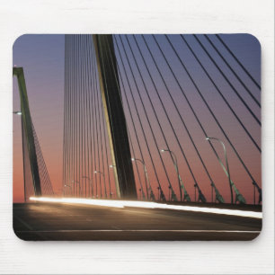 South Carolina, Arthur Ravenel Jr. Bridge Muismat