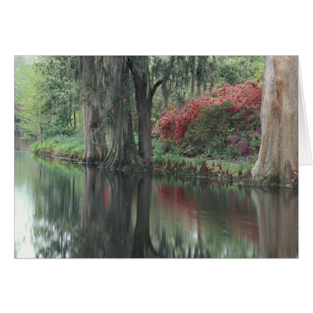 South Carolina, Charleston (Voorkant Horizontaal)