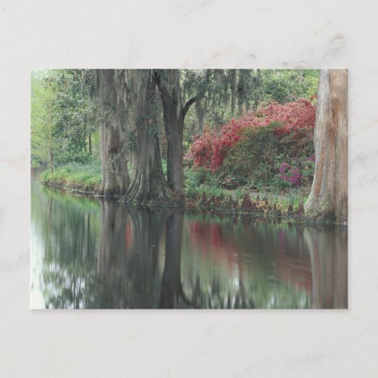 South Carolina, Charleston Briefkaart (Voorkant)