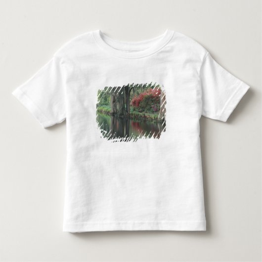 South Carolina, Charleston Kinder Shirts (Voorkant)