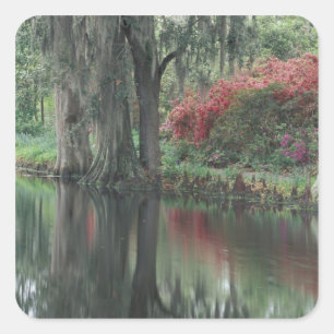 South Carolina, Charleston Vierkante Sticker