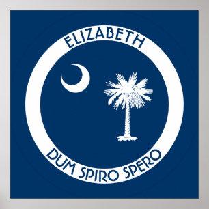 South Carolina De persoonlijke vlag van de deelsta Poster