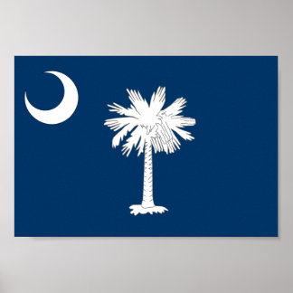 South Carolina Flag Poster