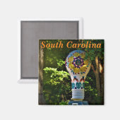 South Carolina magnet Magneet (Voorkant / Achterkant)