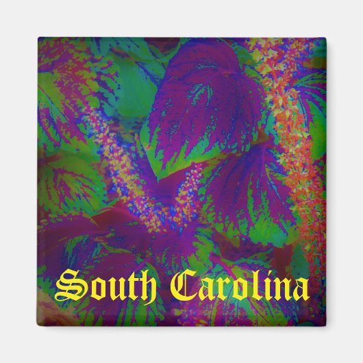 South Carolina magnet Magneet (Voorkant)