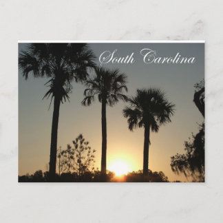 South Carolina Palmetto Sunrise Briefkaart