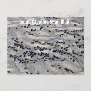 South Carolina Snail Mail 2 Briefkaart