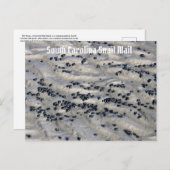 South Carolina Snail Mail 2 Briefkaart (Voorkant / Achterkant)