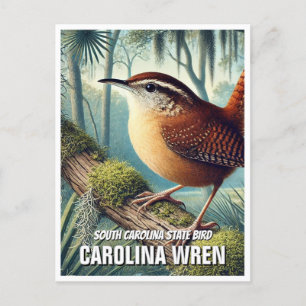 South Carolina State Bird Carolina Wren Briefkaart