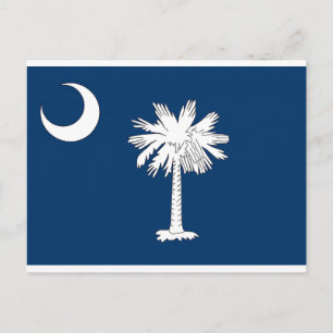 South Carolina State Flag Blue Palm Post Card Briefkaart