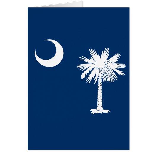 South Carolina State Flag Decor (Voorkant)