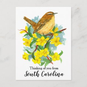 South Carolina Wren Bird Denking of You Briefkaart
