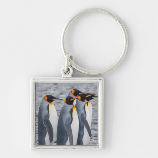 South Georgia. King Penguins Sleutelhanger (Voorkant)