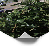 South Haven, Michigan Poster (Hoek)