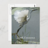 South Louisiana Briefkaart (Voorkant / Achterkant)