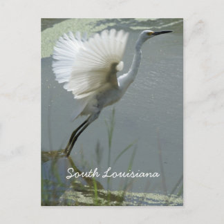 South Louisiana Briefkaart