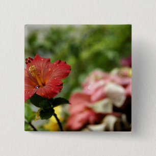 South Pacific, French Polynesia, Society 2 Vierkante Button 5,1 Cm