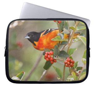 South Padre Island, Texas, VS, Baltimorische Troep Laptop Sleeve