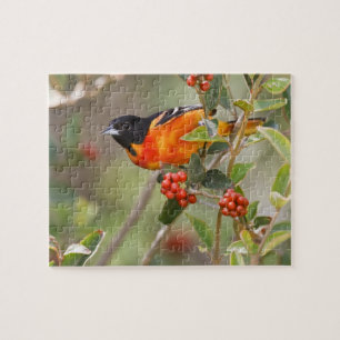 South Padre Island, Texas, VS, Baltimorische Troep Legpuzzel