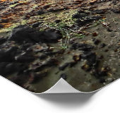 South Point Hawaii jeep aventure hors-bord affiche (Coin)