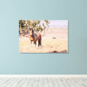 South Steens Wild Horse Canvas Afdruk (Insitu (Houten vloer))