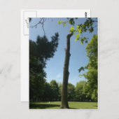 Southampton Briefkaart (Voorkant / Achterkant)