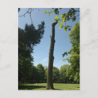 Southampton Briefkaart