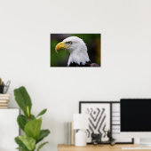 Southern Bald Eagle Print (Thuiskantoor)