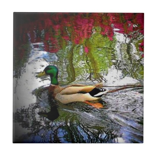 Southern Ducks Tegeltje (Voorkant)