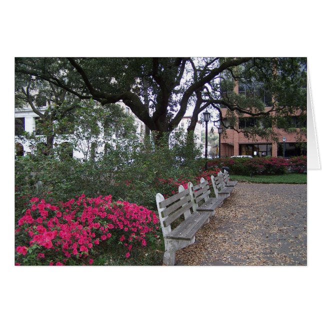 Southern Hospitality Card (Voorkant Horizontaal)