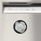 Southern Lady Magneet (Insitu (Vaatwasser))