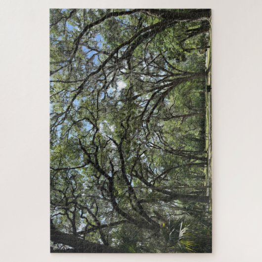 Southern Live Oak canopy Legpuzzel (Verticaal)