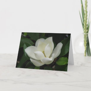 Southern Magnolia Bloom Kaart