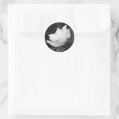 Southern Magnolia Bloom Ronde Sticker (Tas)