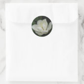Southern Magnolia Bloom Ronde Sticker (Tas)