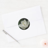 Southern Magnolia Bloom Ronde Sticker (Envelop)